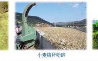 農(nóng)民科學(xué)發(fā)展新思路，秸稈綜合利用成為賺錢好門路之秸稈顆粒機