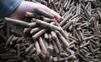 鋸末顆粒機(jī)顆粒，一種快速增長(zhǎng)的能源載體