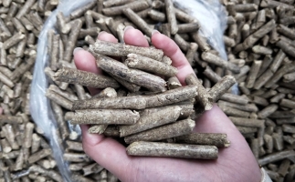 鋸末顆粒機(jī)木屑顆粒燃料市場(chǎng)前景如何？
