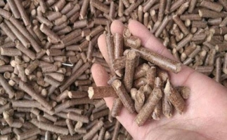 鋸末顆粒機生物質(zhì)燃料與燃煤對比情況如何？