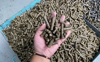 木屑顆粒機(jī)廠家告訴你生物質(zhì)顆粒燃料燃燒不充分的問題，該如何解決?