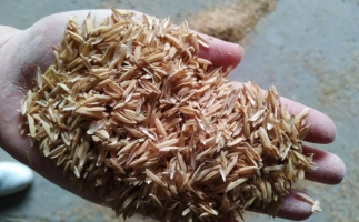 為什么稻殼較難燃燼?稻殼顆粒機(jī)生產(chǎn)顆粒幾個步驟？