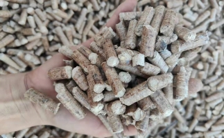 木材加工廠木屑堆積如山，環(huán)保部門令趕緊處理怎么辦？有它就夠了