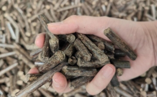 木屑燃料顆粒熱值多少大卡，完全取決于燃料的原料